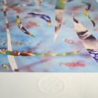 PARAgrafiky vol4 prints shop 112024 martina mlcuchova 52