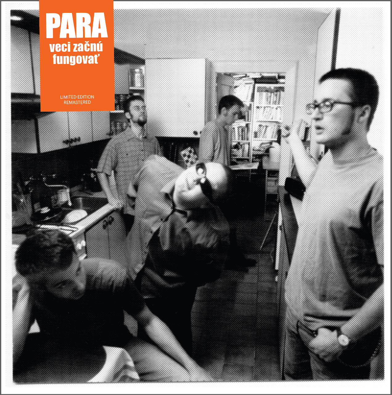 para VZF LP cover sticker PREVIEW Front5